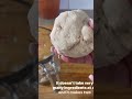 Low keto wrap!