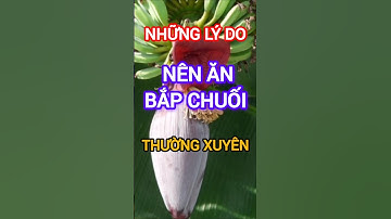 Những Lý Do Nên Ăn Bắp Chuối Thường Xuyên #dinhduong #health #suckhoe #bapchuoi