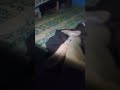 "جريح الجيش الوطني: صوت الألم الذي يهز الوجدان وتجربة تتجاوز حدود التضحية"