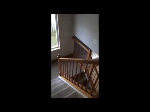 14053 S Oakdale Cir., Plainfield, IL home video tour