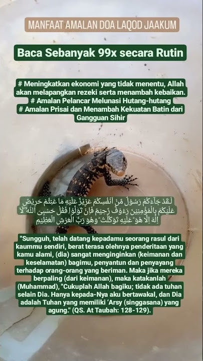 MANFAAT AMALAN LAQOD JAAKUM