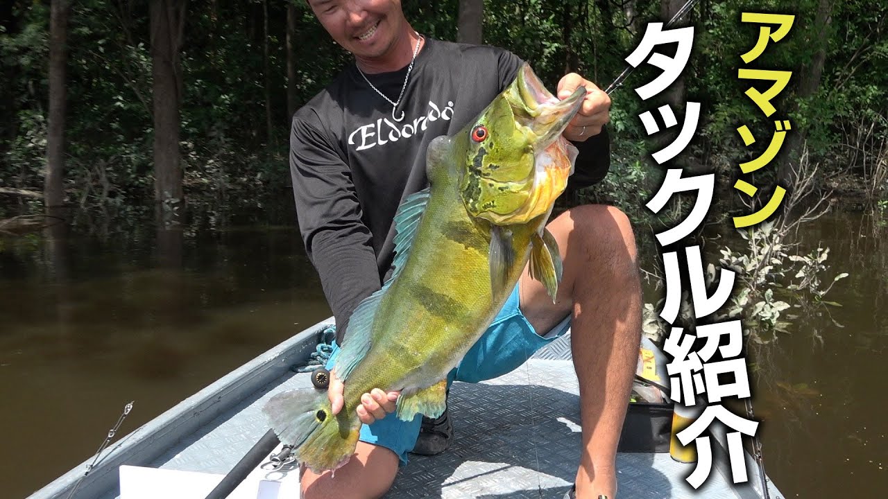 もう一度ピーコックバスを釣りに行くのでタックル紹介します - YouTube