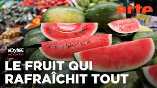 Melons et pastèques | Voyage gourmand | ARTE Évasion