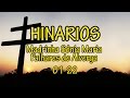 Sônia Palhares - Hinarios 01-22 - Santo Daime