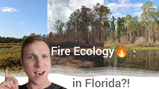 Exploring Florida's lit ecology: Ecosystems born from fire