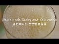 How to Make Kombucha & Scoby - Easy Homemade Scoby & Kombucha - Easy Fermentation