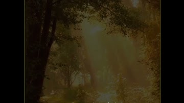 إن للمتقين مفازا / القارئ يونس الدوسكي