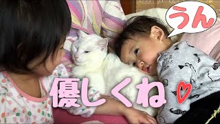 赤ちゃんに優しい神猫さん お姉ちゃん 猫さんと赤ちゃん お姉ちゃんはお友達 Youtube