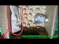 Comment fabriquer un incubateur artisanal pour oeufs de volaille