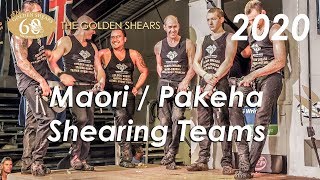 Maori/Pakeha Shearing Teams - 2020 Golden Shears (60th Anniversary)