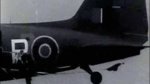 Войска СС / Weaponology SS (4и5)