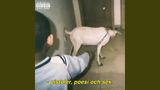 Turbolens - Yasin