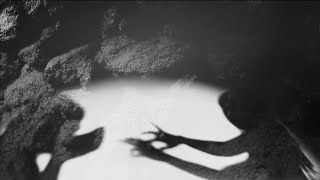 The Murmur - Tamara Qaddoumi