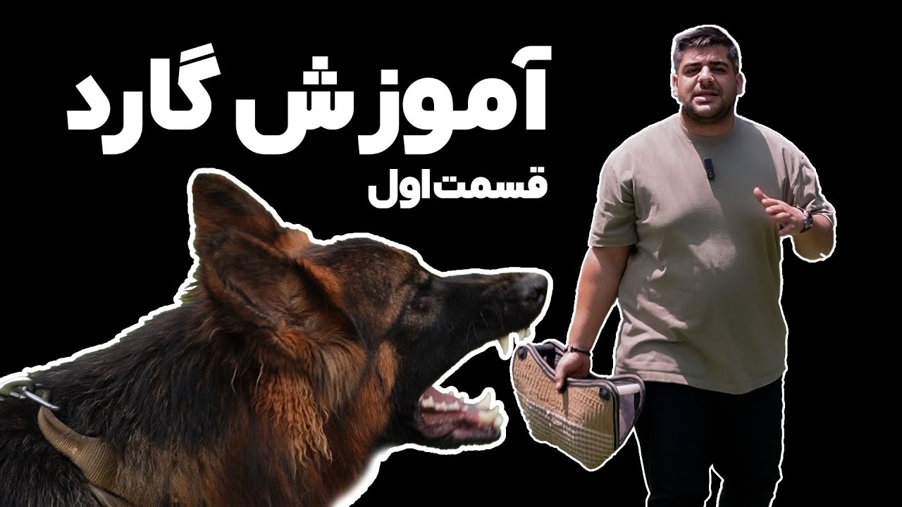 آموزش گارد سگ | انگیزه شکار سگت رو بالا ببر!