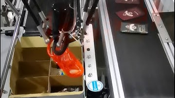 Soft Bag Automatic Packing by Pick and Place Robot