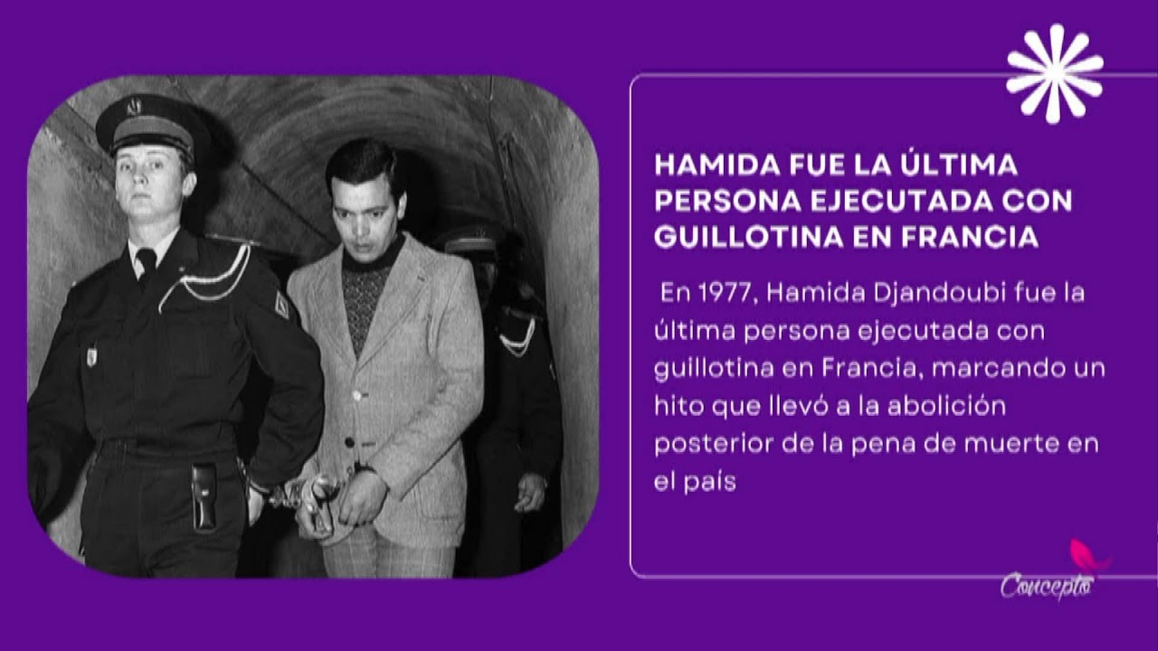 ConceptoAlDía