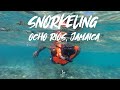 Snorkeling at Paradise Reef in Ocho Rios, Jamaica | Where DF