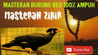 masteran burung beo mp3 100% ampuh