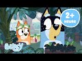 VIVRE S Amuser Au Soleil Bluey Français Chaîne Officielle 