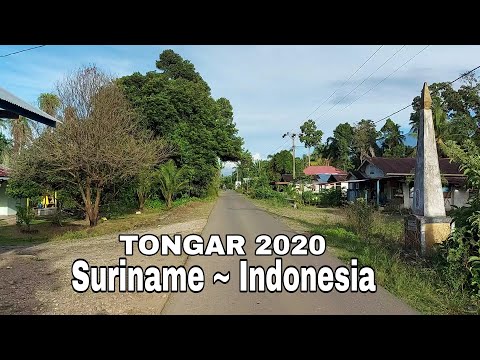 Video: Orang macam apa yang tinggal di Suriname?