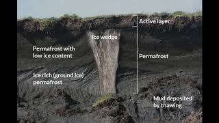 Tundra Biome Documentary