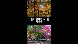 서울의 단풍명소 1탄 창경궁