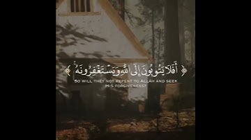سورة المائدة قارئ وديع اليمني