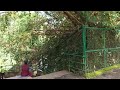 THIRUVANANTHAPURAM ZOO തിരുവനന്തപുരം നഗരമധ്യത്തിലെ സുന്ദര വനം