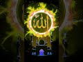 I love Mohammad likhe comment mai