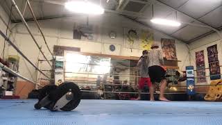 2019100201 toellgym.com