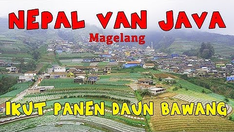 NEPAL VAN JAVA MAGELANG - WISATA MAGELANG YANG INSTAGRAMABLE