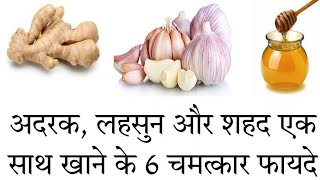 अदरक, लहसुन और शहद के फायदे | Ginger Garlic And Honey Benefits in Hindi |