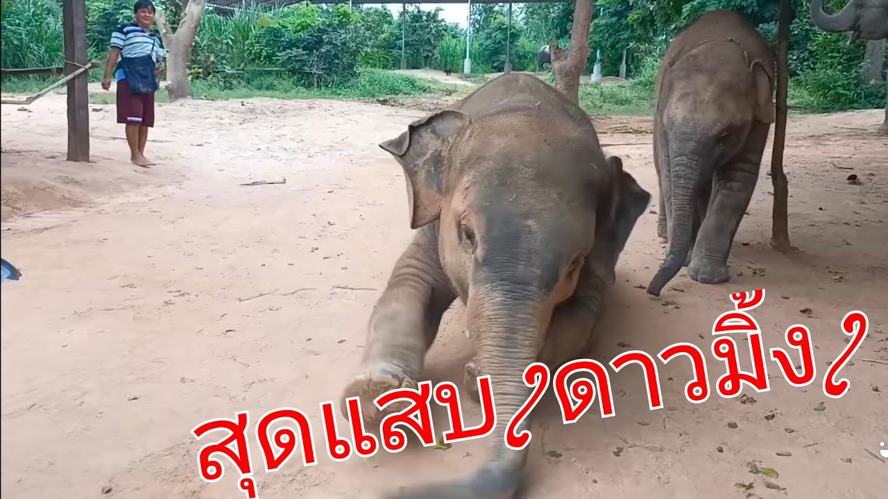 สุดแสบ/ดาวมงคล/มิ่งมงคล💯