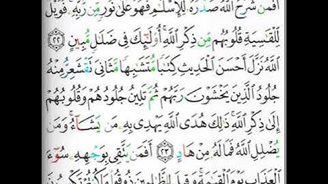 تلاوة اية (21) الى(24) سورة الزمر  بصوت هادئ وجميل