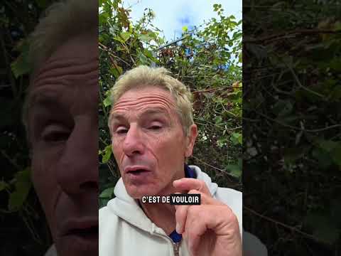 Il ne faut pas revenir en arrière #revenirenarrière #avancer #crisedecouple #coaching #conseils