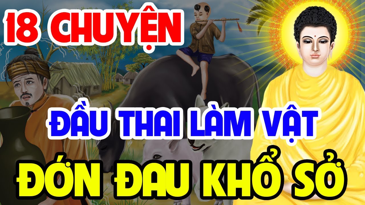 18 Chuyện Nhân Quả Phật Giáo Mới Nhất, Luân Hồi Chuyển Kiếp - Đầu Thai Làm SÚC SANH Rất KHỔ SỞ