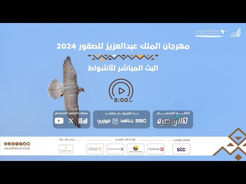 البث المباشر لليوم السابع عشر من منافسات مهرجان الملك عبدالعزيز للصقور 2024