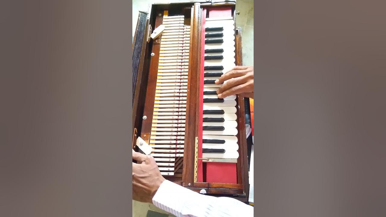 HOW TO PLAY "SWAMINARAYAN" DHUN ON HARMONIUM / KEYBOARD LESSON NO. 1
