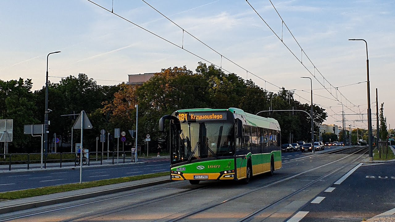 ZTM Poznań - Komunikacja autobusowa | 2023