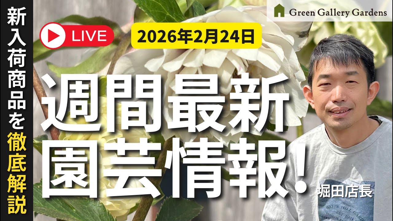 【最新情報】2月24日グリーンギャラリーガーデンズ入荷情報を一挙公開!