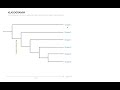 Erklärfilm Kladogramm 