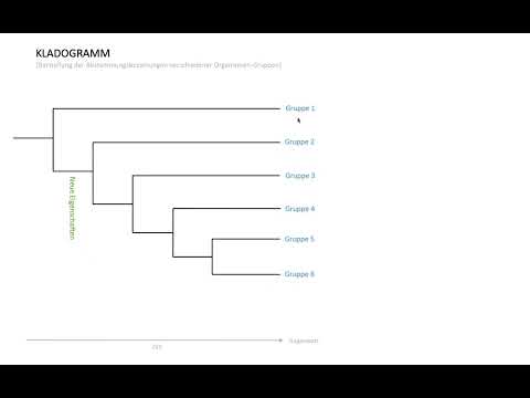 Video: Was ist ein Kladogramm eines Stammbaums?