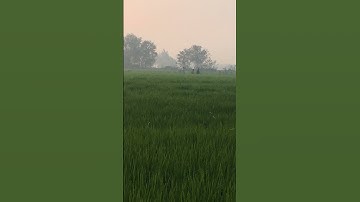 تلاوة خاشعة من سورة البقرة