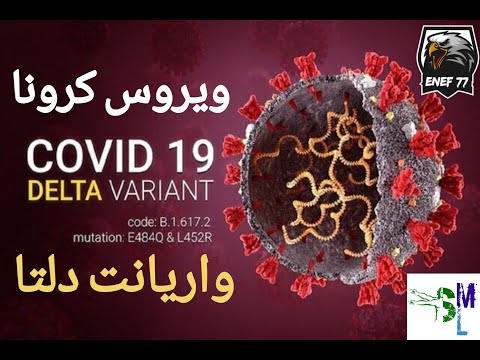 تصویری: میخائیل شاتس ، مجری تلویزیون ، بیماری خود را با ویروس کرونا ویروس COVID-19 بیان کرد