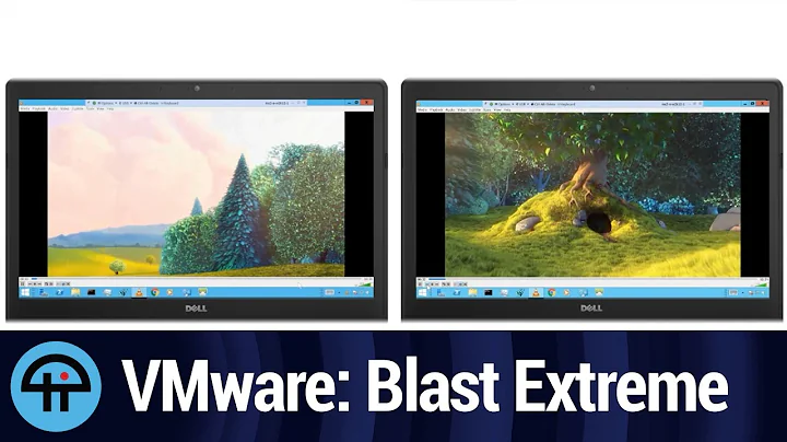 VMware: Blast Extreme