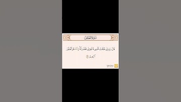 قَالَ رَبِّ إِنِّي ظَلَمْتُ نَفْسِي #قرآن #ارح_قلبك #رعد_الكردي #سورة_القصص