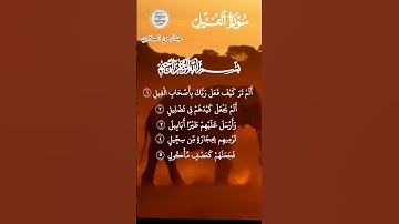 تلاوة رفقة الفيل  🕊🐘 تدبر القرآن في سورة الفيل |  مشهد بصري قوي يسكن القلب  ❤