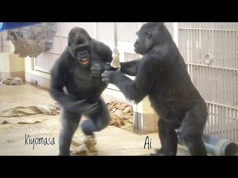 Porno xotin erini sikdi