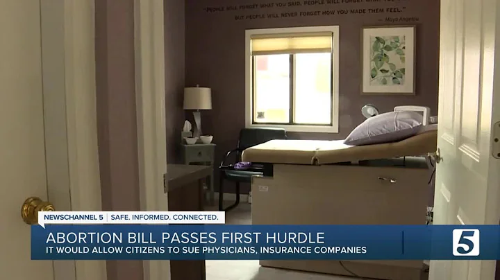 Tennessee legislator designs bill that would allow citizens to enforce new abortion ban