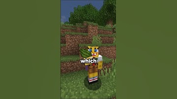 This Is The Best Minecraft Server Of 2025  #minecraft #bedrock #minecraftip #minecraftserver #java